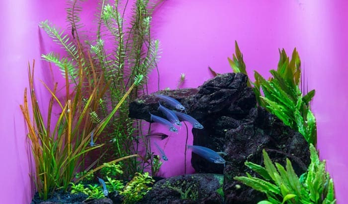 Water Filling Technique on Reverse Aquarium