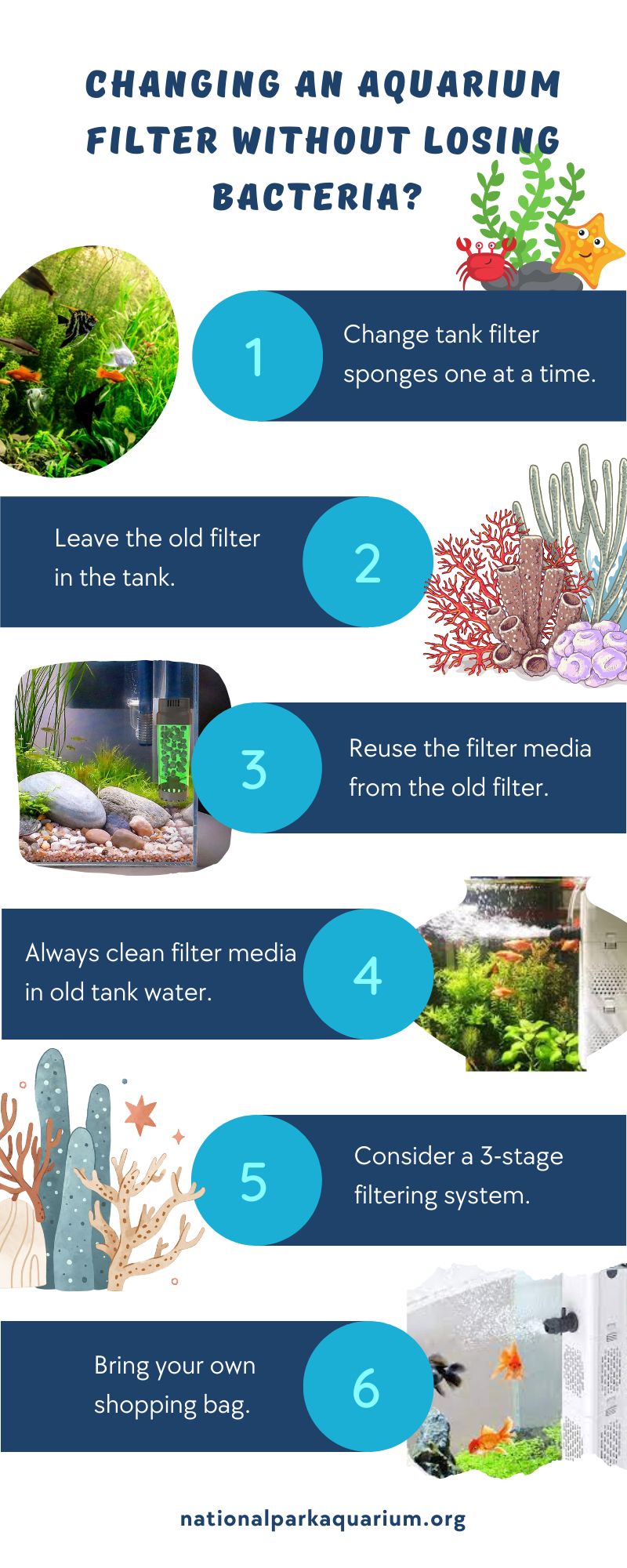 How To Change An Aquarium Filter Without Losing Bacteria