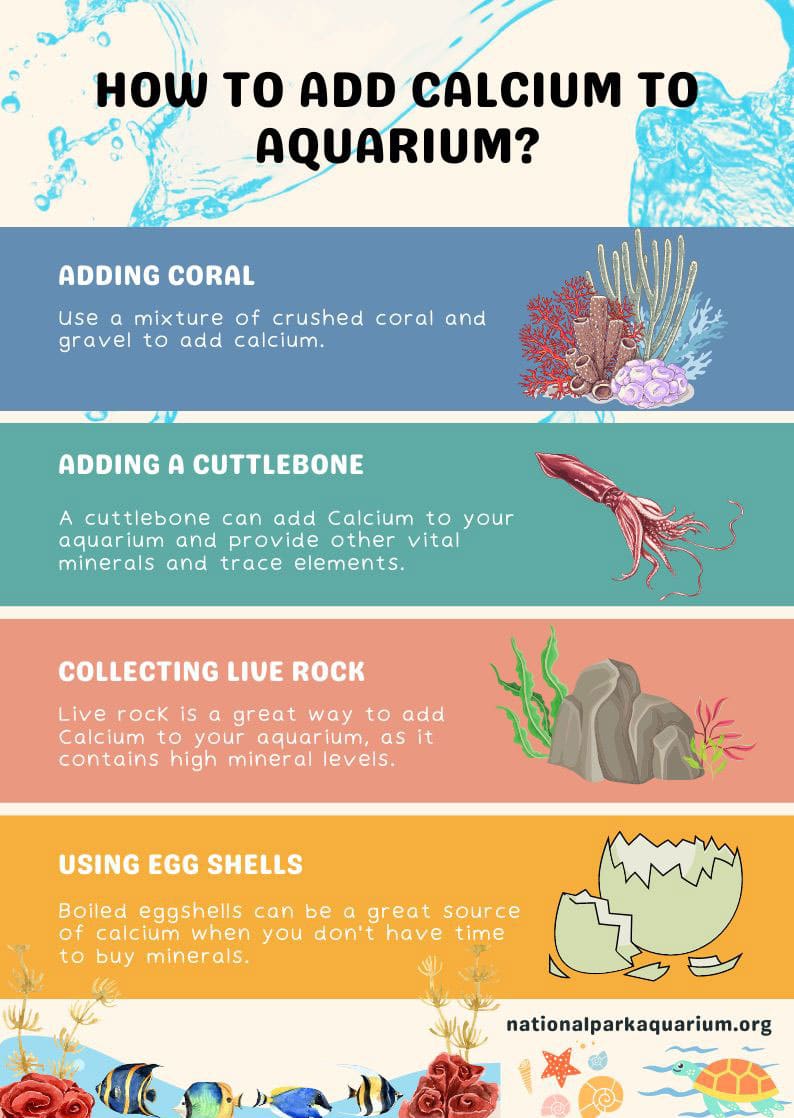 how to add calcium to aquarium