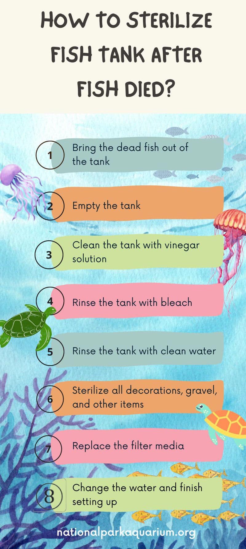 how to sterilize fish tank after fish died