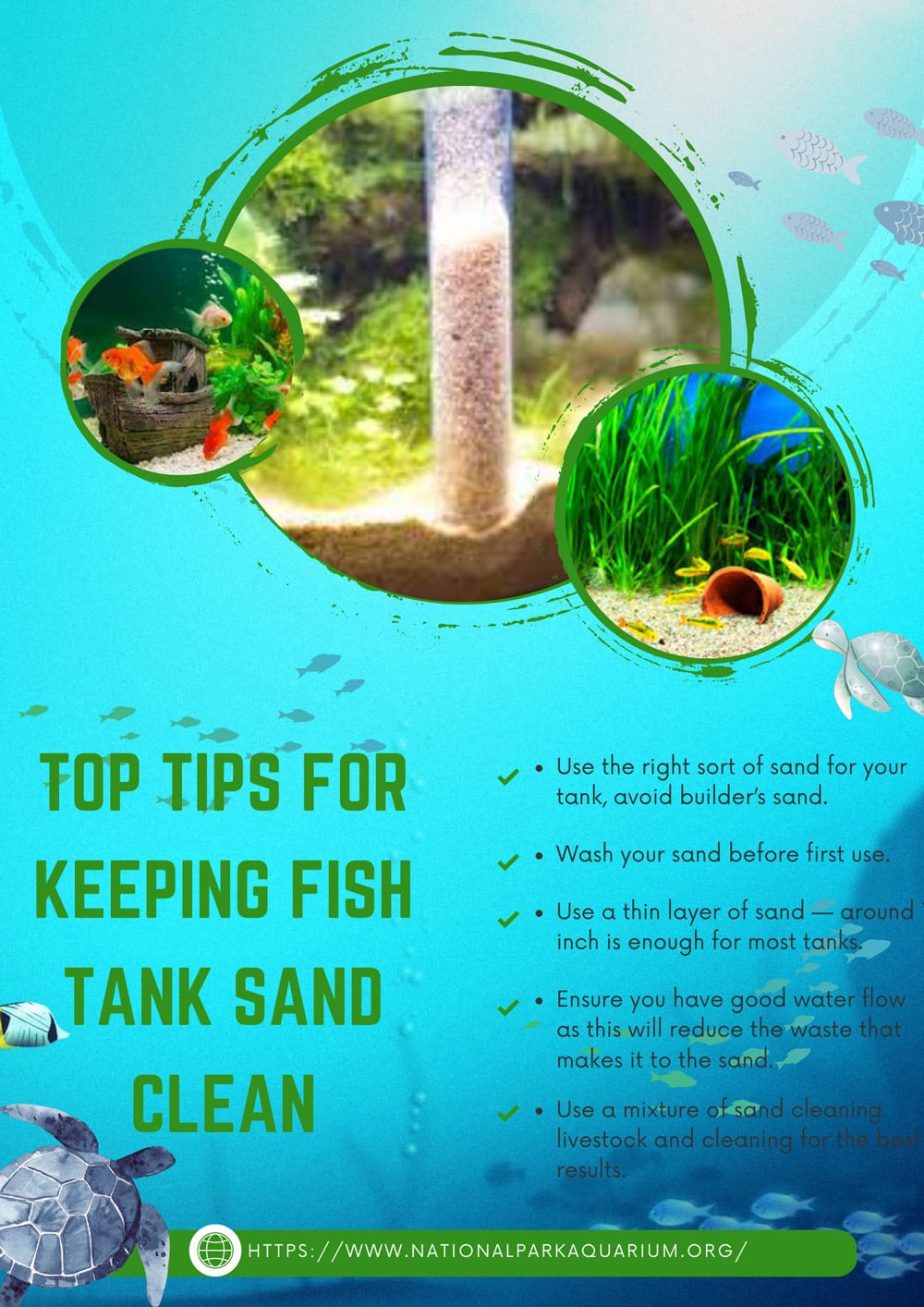 how to clean sand in fish tank