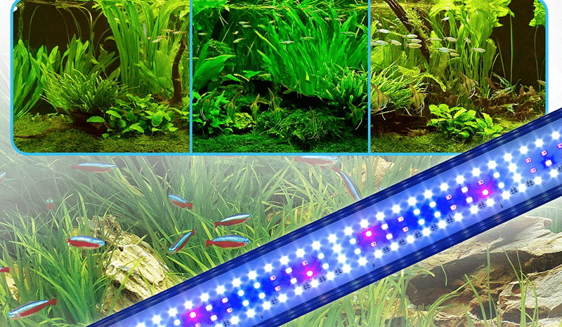 Aquarium light vs Grow light: Purposes and features
