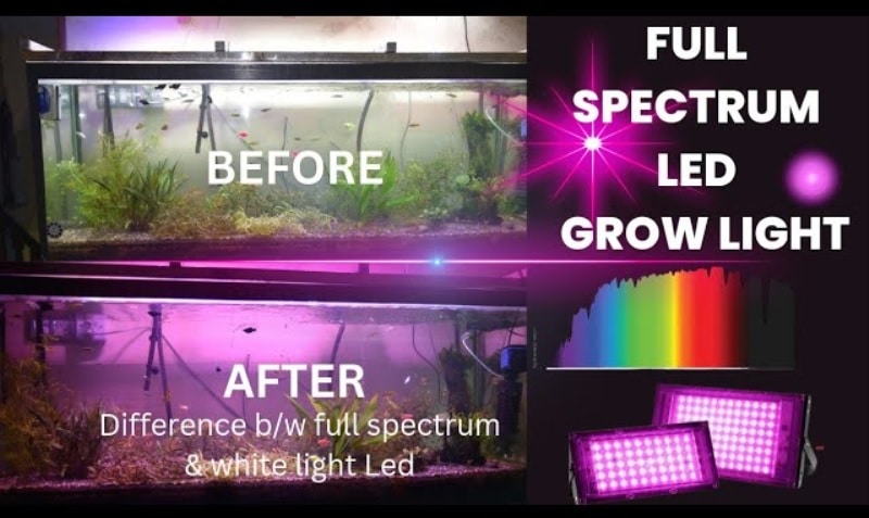 Aquarium light vs Grow light: Light Spectrum