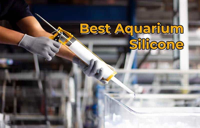 Best Aquarium Silicone