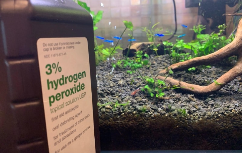 Cleaning aquarium plants with Hydrogen Peroxide