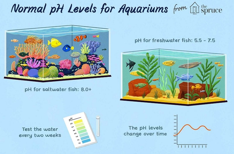 pH and Alkalinity in fish Tank
