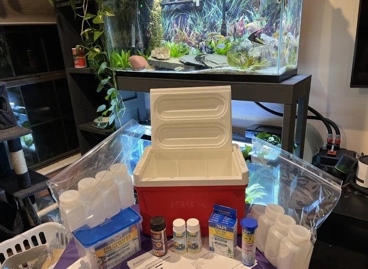 Test Calcium in a Freshwater Aquarium