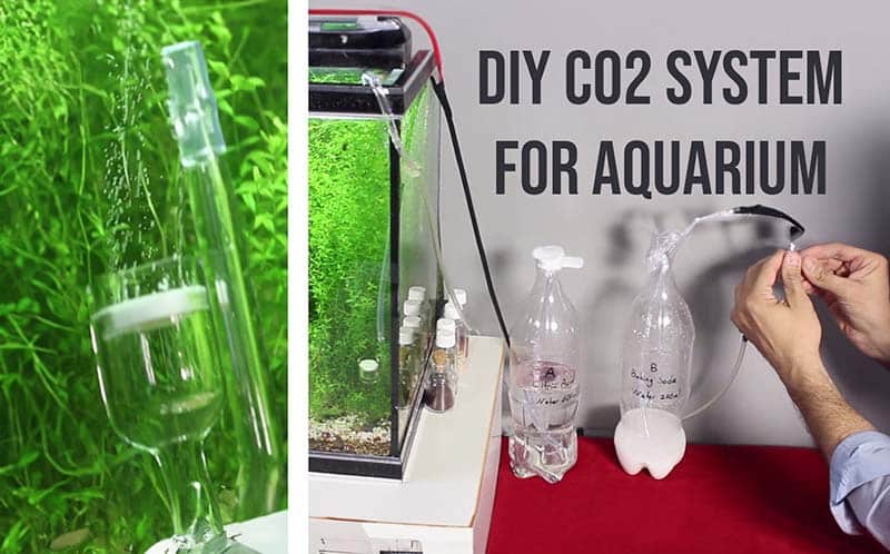 Using a DIY CO2 System